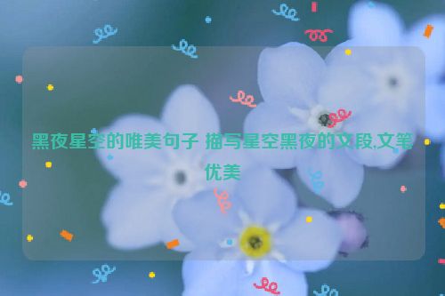 黑夜星空的唯美句子 描写星空黑夜的文段,文笔优美