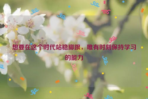 想要在这个时代站稳脚跟，唯有时刻保持学习的能力