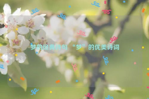 梦的经典诗句 “梦”的优美诗词