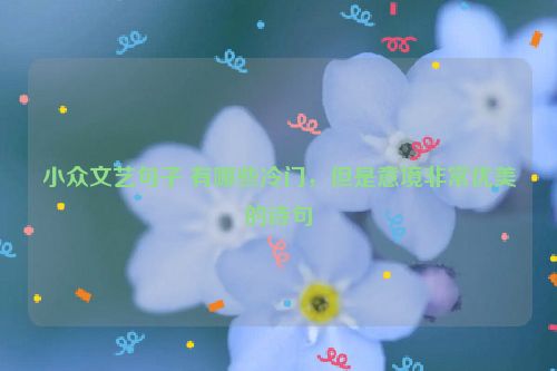 小众文艺句子 有哪些冷门，但是意境非常优美的诗句