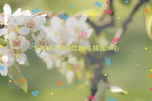 五年级下册的比喻句(精选10句)