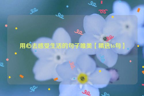 用心去感受生活的句子唯美【精选16句】