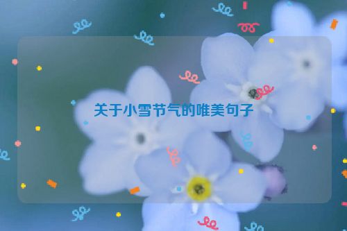 关于小雪节气的唯美句子