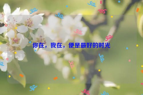 你在，我在，便是最好的时光