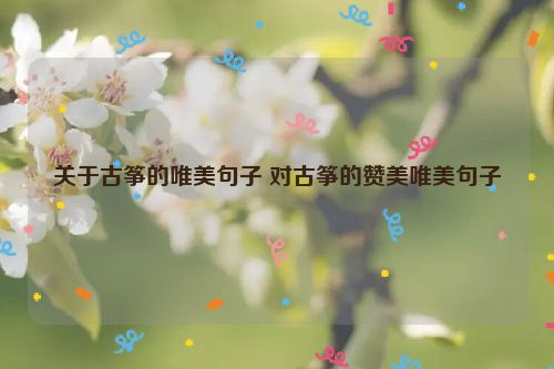 关于古筝的唯美句子 对古筝的赞美唯美句子