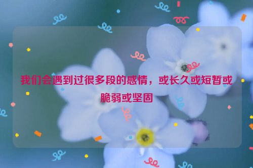 我们会遇到过很多段的感情，或长久或短暂或脆弱或坚固
