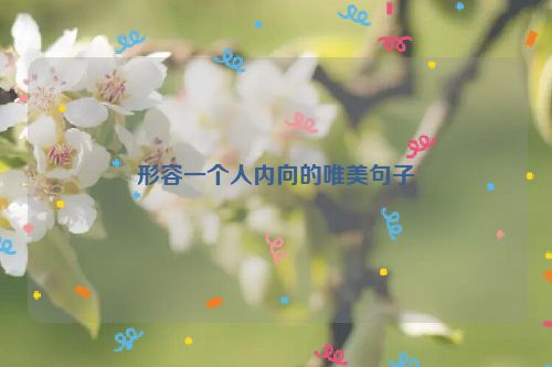 形容一个人内向的唯美句子