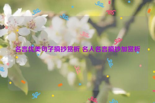 名言优美句子摘抄赏析 名人名言摘抄加赏析