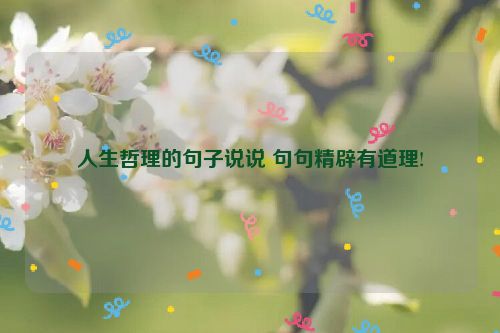 人生哲理的句子说说 句句精辟有道理!