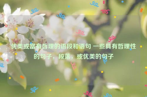 优美或富有哲理的语段和语句 一些具有哲理性的句子，段落，或优美的句子
