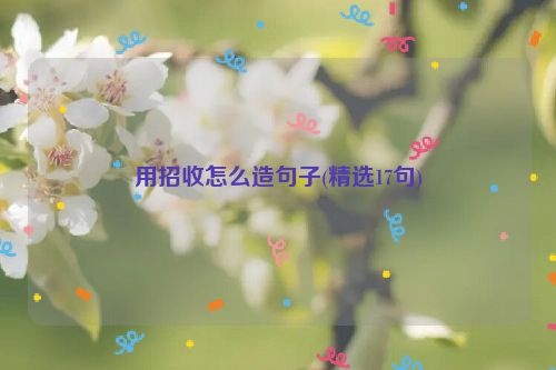 用招收怎么造句子(精选17句)