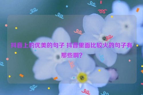 抖音上的优美的句子 抖音里面比较火的句子有那些啊？