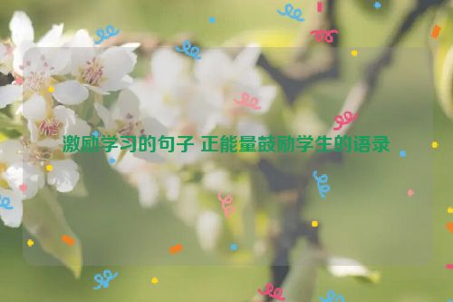 激励学习的句子 正能量鼓励学生的语录