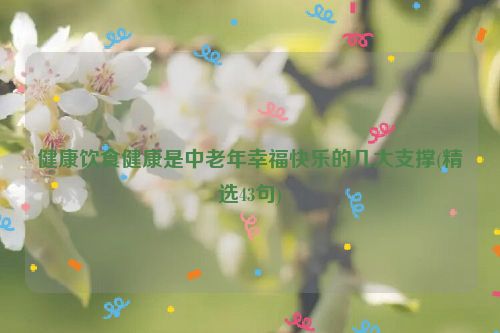 健康饮食健康是中老年幸福快乐的几大支撑(精选43句)