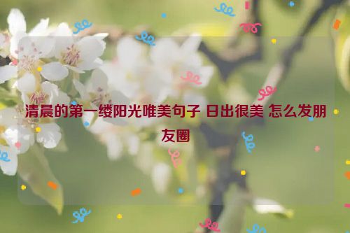 清晨的第一缕阳光唯美句子 日出很美 怎么发朋友圈