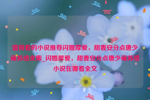 值得看的小说推荐闪婚厚爱，甜妻安分点唐少雍苏络全集_闪婚厚爱，甜妻安分点唐少雍苏络小说在哪看全文