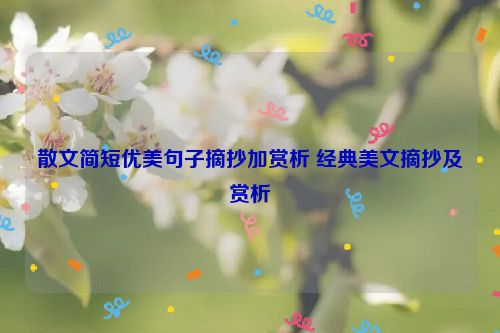 散文简短优美句子摘抄加赏析 经典美文摘抄及赏析