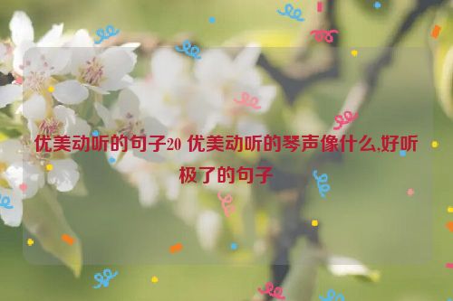 优美动听的句子20 优美动听的琴声像什么,好听极了的句子