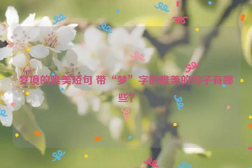 梦境的唯美短句 带“梦”字的唯美的句子有哪些？