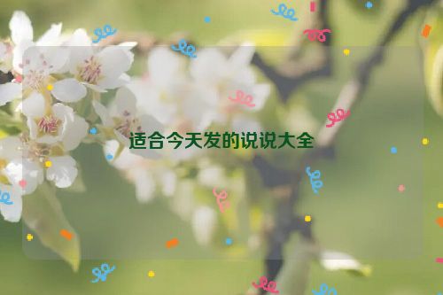 适合今天发的说说大全