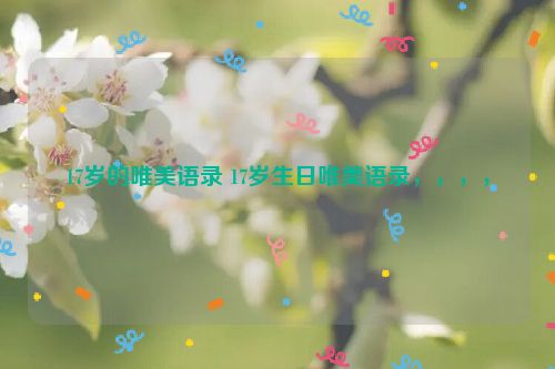 17岁的唯美语录 17岁生日唯美语录，，，，
