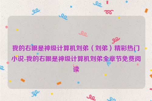 我的右眼是神级计算机刘弟（刘弟）精彩热门小说-我的右眼是神级计算机刘弟全章节免费阅读