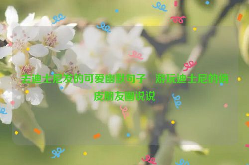 去迪士尼发的可爱幽默句子   游玩迪士尼的俏皮朋友圈说说