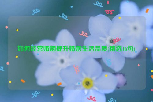 如何经营婚姻提升婚姻生活品质(精选16句)