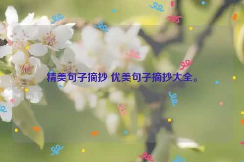 精美句子摘抄 优美句子摘抄大全。