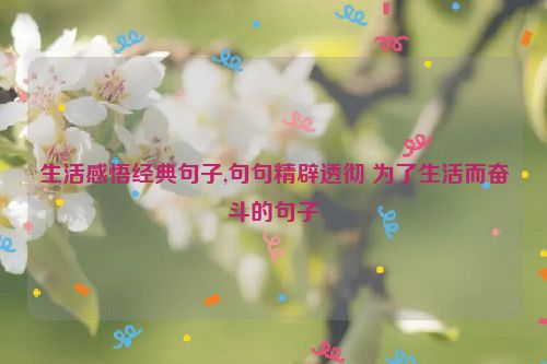 生活感悟经典句子,句句精辟透彻 为了生活而奋斗的句子