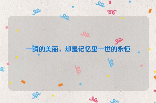 一瞬的美丽，却是记忆里一世的永恒