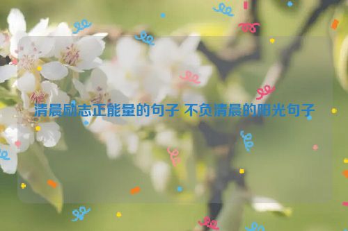 清晨励志正能量的句子 不负清晨的阳光句子