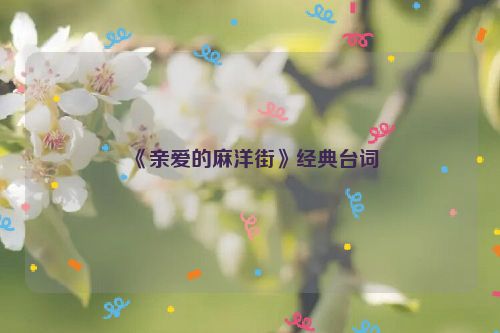 《亲爱的麻洋街》经典台词