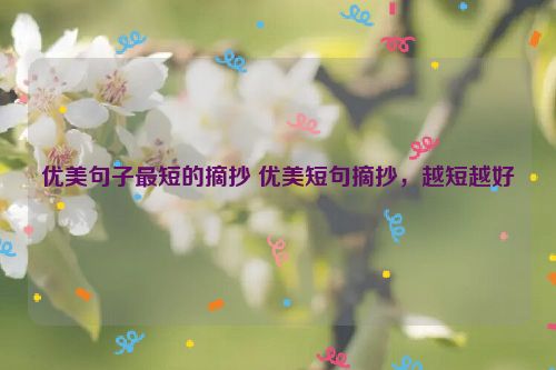 优美句子最短的摘抄 优美短句摘抄，越短越好