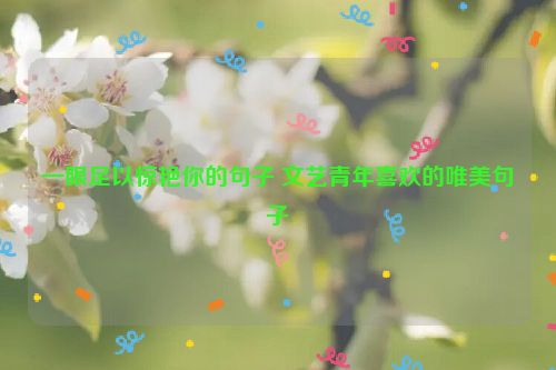 一眼足以惊艳你的句子 文艺青年喜欢的唯美句子