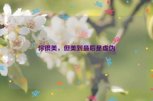 你很美，但美到最后是虚伪