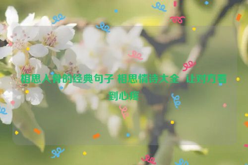 相思入骨的经典句子 相思情诗大全  让对方看到心疼