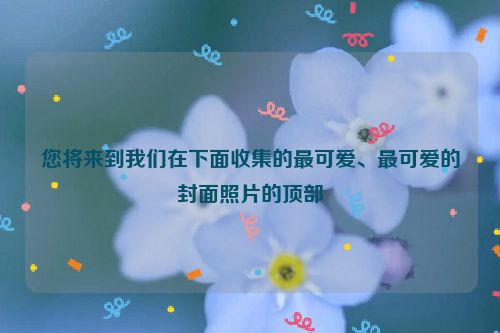 您将来到我们在下面收集的最可爱、最可爱的封面照片的顶部