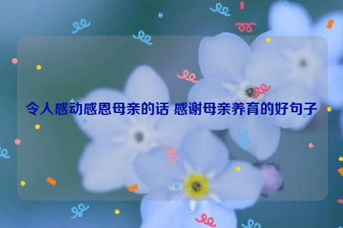 令人感动感恩母亲的话 感谢母亲养育的好句子