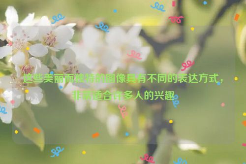 这些美丽而独特的图像具有不同的表达方式，非常适合许多人的兴趣