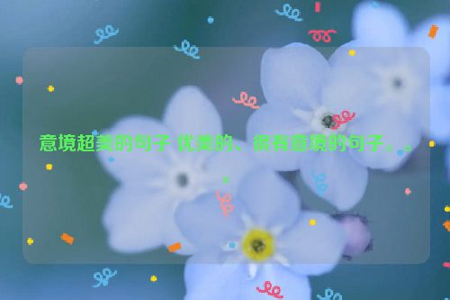 意境超美的句子 优美的、很有意境的句子。。。