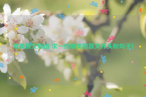 唯美散文短语 求一些唯美的散文开头和句子！