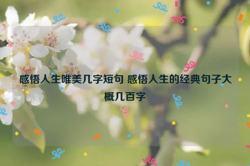 感悟人生唯美几字短句 感悟人生的经典句子大概几百字