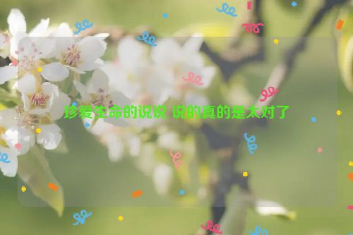 珍爱生命的说说 说的真的是太对了