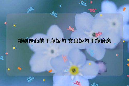 特别走心的干净短句 文案短句干净治愈