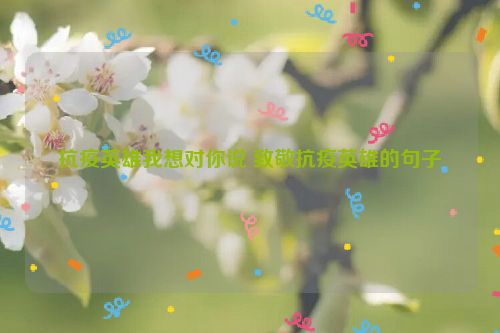 抗疫英雄我想对你说 致敬抗疫英雄的句子