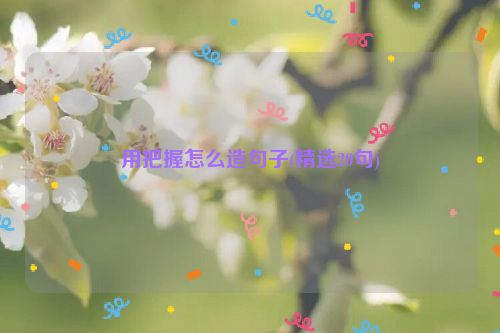 用把握怎么造句子(精选20句)