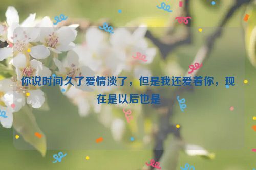 你说时间久了爱情淡了，但是我还爱着你，现在是以后也是