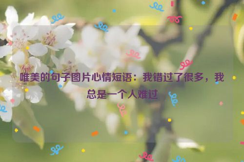 唯美的句子图片心情短语：我错过了很多，我总是一个人难过
