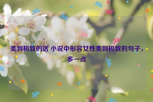 美到极致的话 小说中形容女性美到极致的句子，多一点